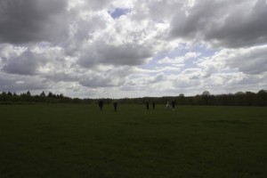 Alpaca trekking at Spring Farm  in Sussex