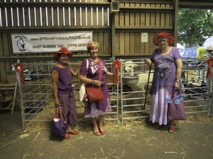 Meet our walking alpacas at the South of England Showground Sussex