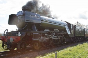 The Flying Scotsman at The Bluebell Railway!