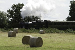 Bluebell railway taken from spring farm