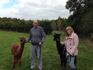 Walk alpacas in the Sussex AONB