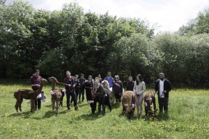 Walk alpacas on a hen party