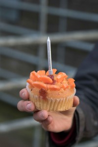 Carrot cake for birthday alpaca