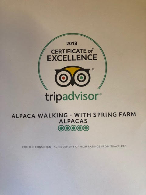 Trip Alpaca walking awarded a Trip Advisor Certificate of Excellence 2018