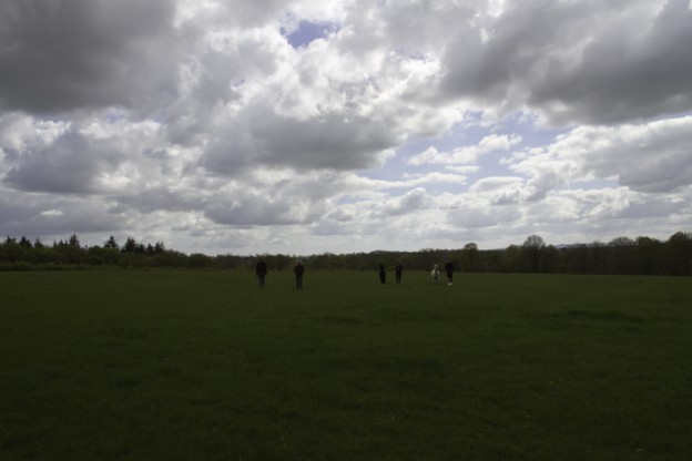 Alpaca trekking at Spring Farm in Sussex