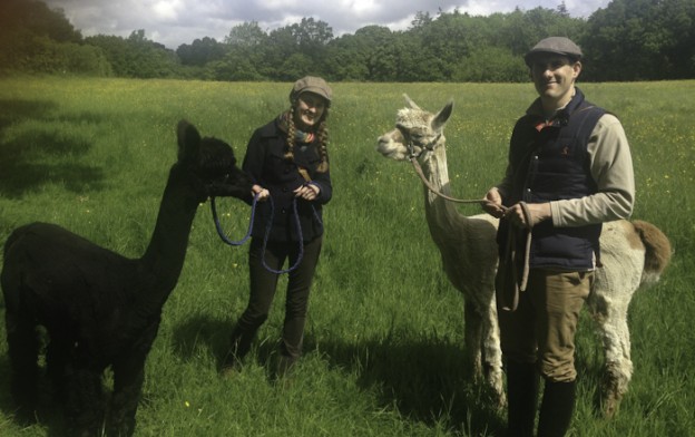 walk alpacas in sussex near the ashdown forest