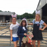 alpaca hen party