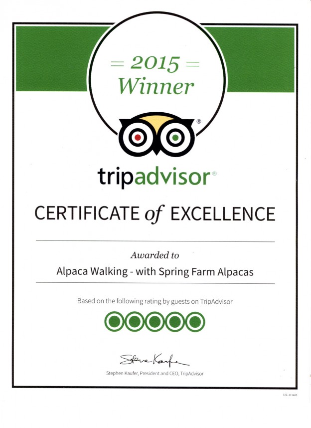 2015 certificate of excellence from Tripadvisor