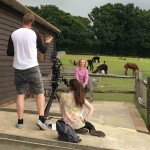 TV interview with alpacas