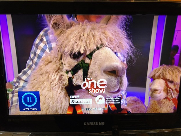 Llama on The One Show