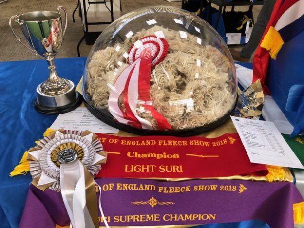 Supreme Champion Suri Fleece