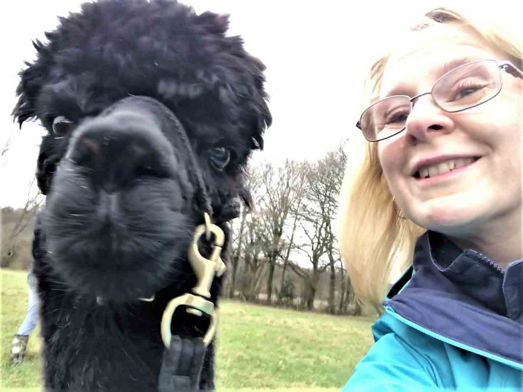 Alpaca selfie on alpaca walk