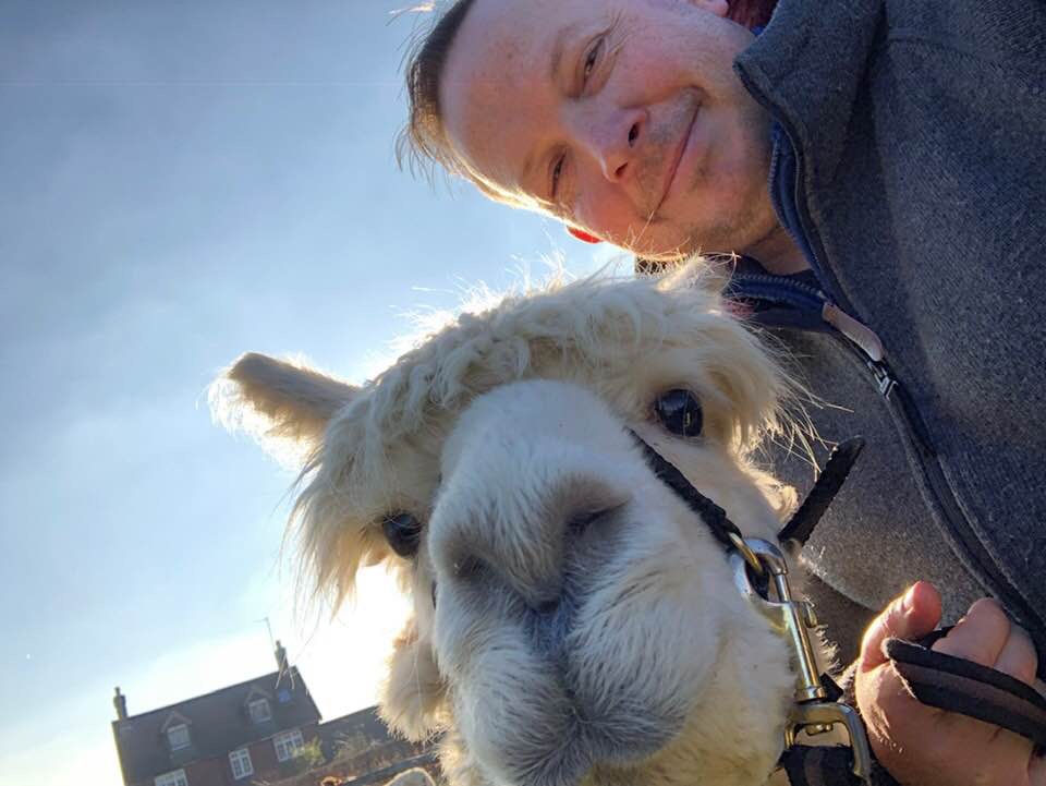 Alpaca selfy