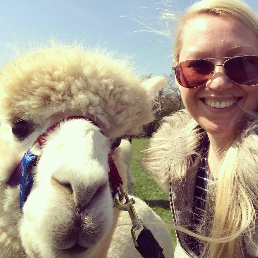 alpaca selfie taken at spring farm alpacas