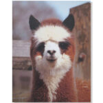 Gordon the alpaca - alpaca photo card