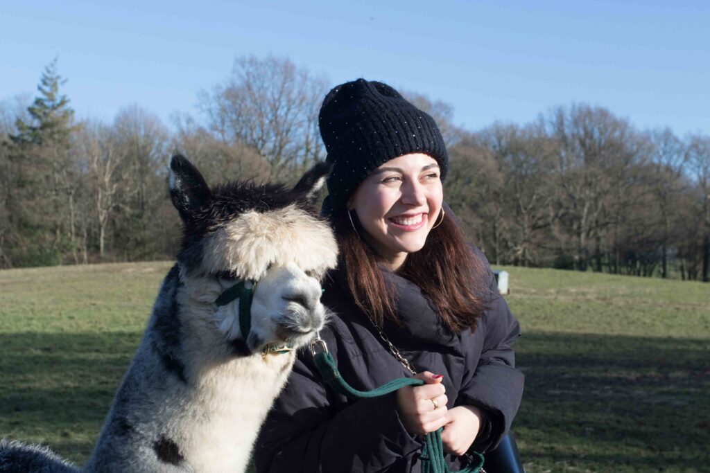 Alpaca selfie time