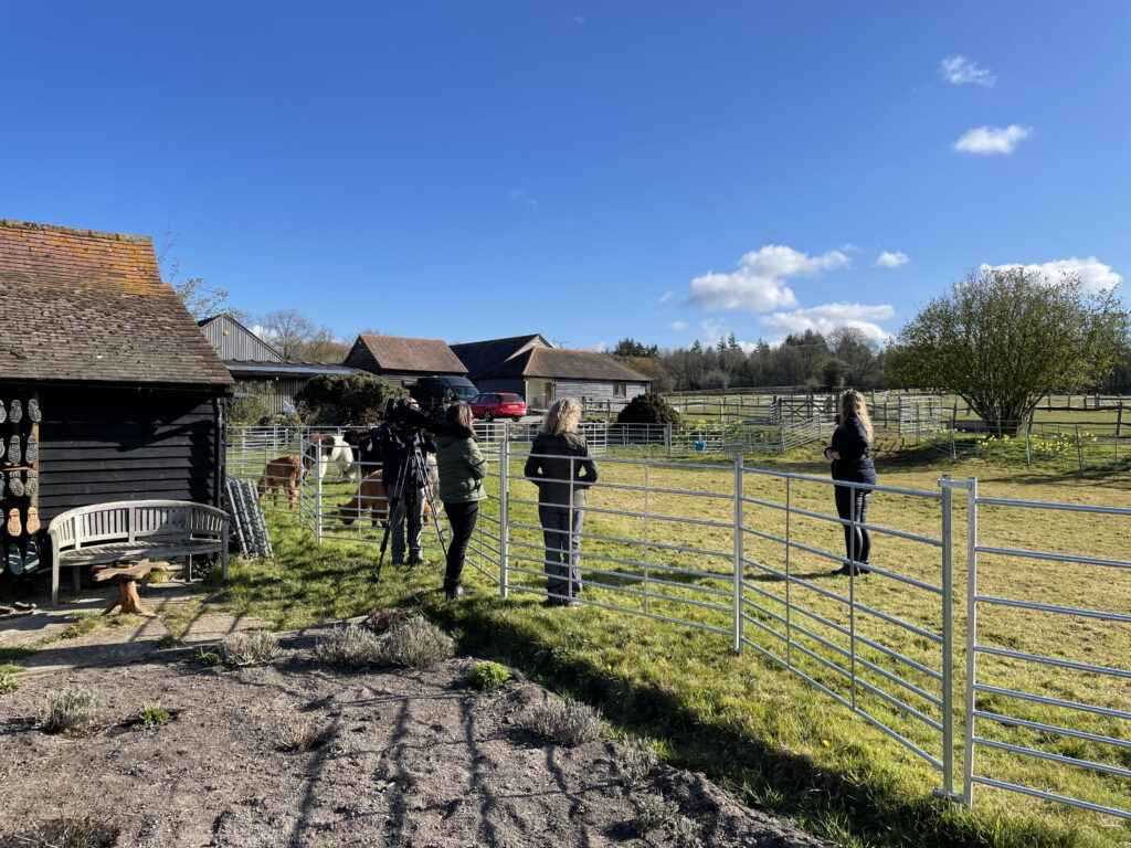 Josie Gibson filming for This Morning with alpacas