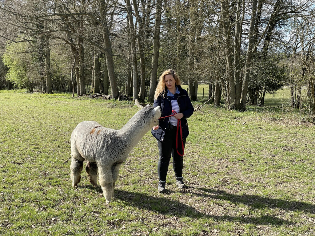 Josie Gibson with Dermot the alpaca