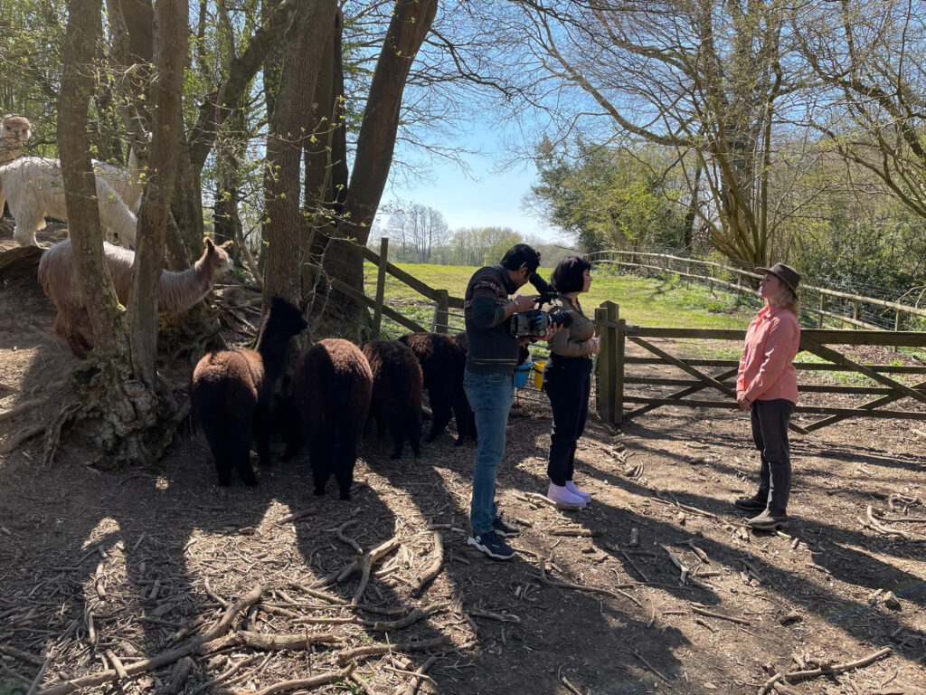 Interview about alpaca walking with Lola and Ali from Marjan and Vicki from Spring Farm Alpacas