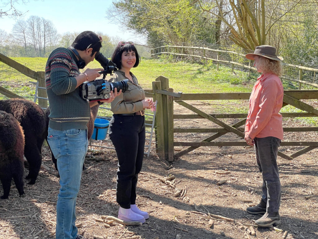 Alpaca walking tv filming near london