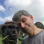alpaca selfie and llama selfie