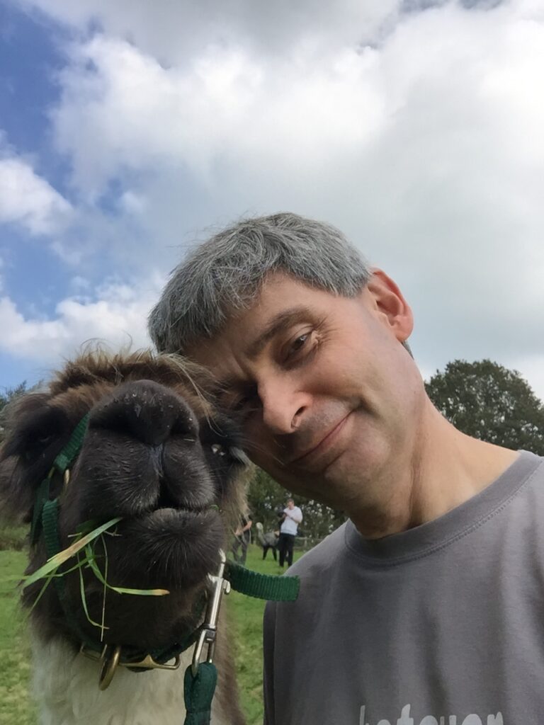 alpaca selfie and llama selfie