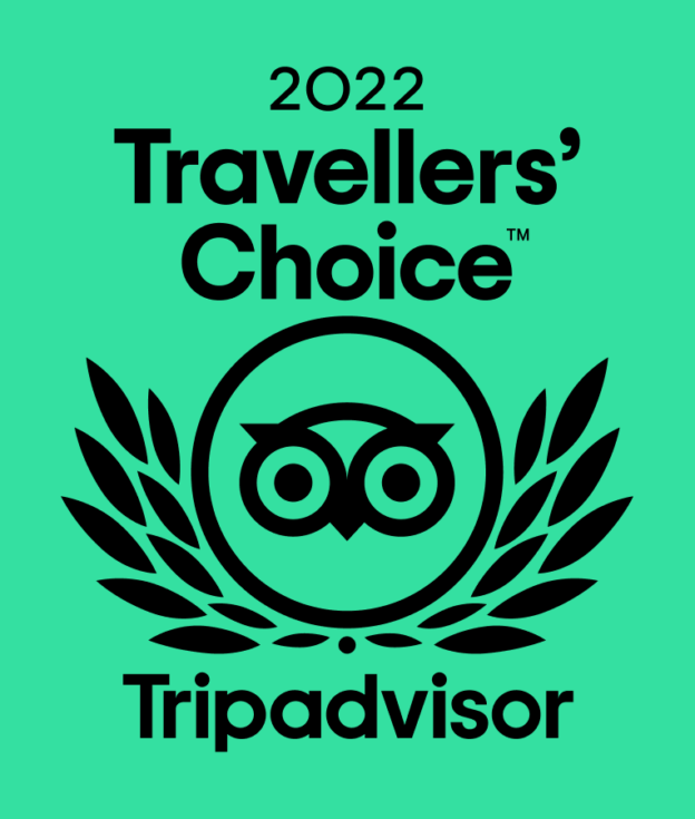 Alpaca walking at Spring Farm Alpacas gets tripadvisor travellers' choice award 2022