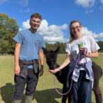 Feed your own alpaca after walking alpacas