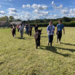 Walk your very own alpaca in the High Weald Area of Outstanding Natural Beauty in Sussex