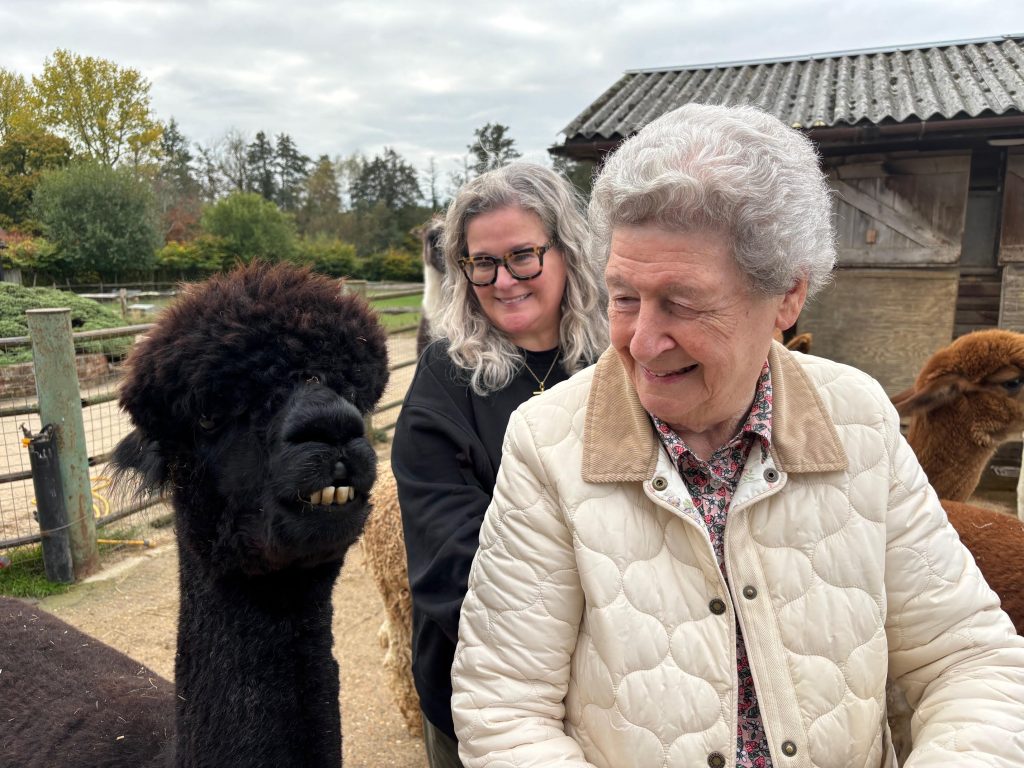 Meet and greet alpacas and llamas close to london
