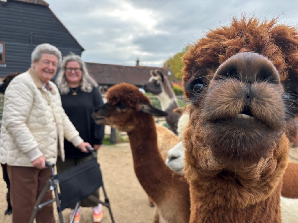 Plenty of time for alpaca selfies even with mobility issues