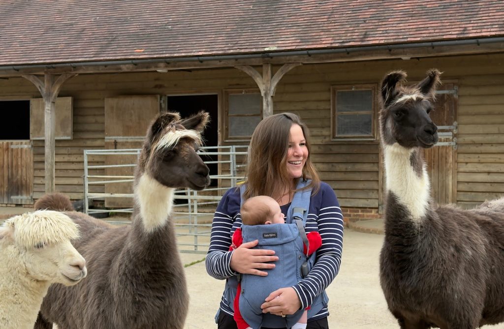 Alpaca and llama meet and greet. Spend time with our amazing alpacas and llamas on hard standing