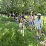 Sophie's hen party on an alpaca walk at Spring Farm Alpacas