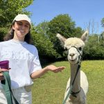 Sophie's hen party on an alpaca walk in East Sussex at Spring Farm Alpacas